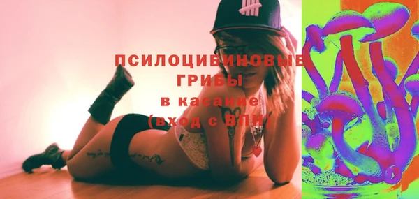 мдпв Волоколамск