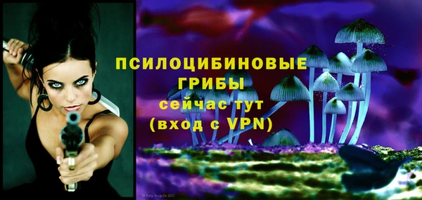 мдпв Волоколамск
