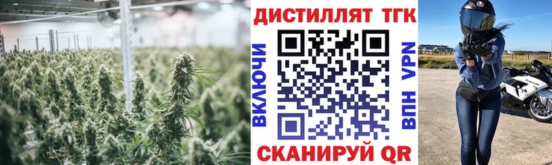 ТГК концентрат  hydra онион  Петухово 